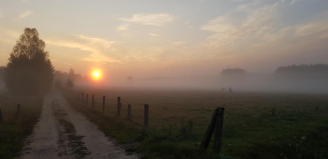 Zdalnie Z Lasu - Siedlisko W Puszczy Bialowieskiej Narewka Exterior photo