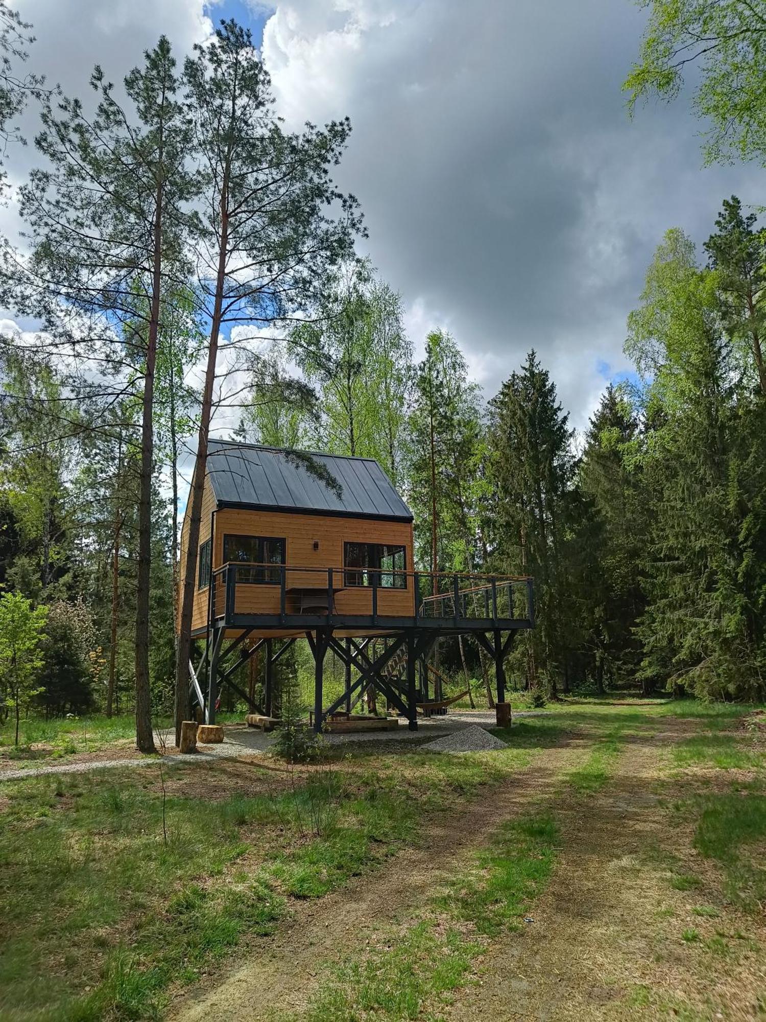 Zdalnie Z Lasu - Siedlisko W Puszczy Bialowieskiej Narewka Exterior photo